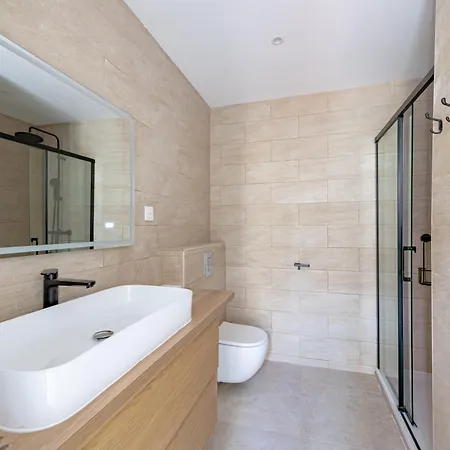 Maison Spacieuse Avec Terrasse Dans Le Centre De * Reims