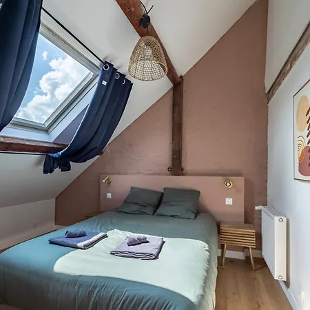 Villa Maison Spacieuse Avec Terrasse Dans Le Centre De Reims